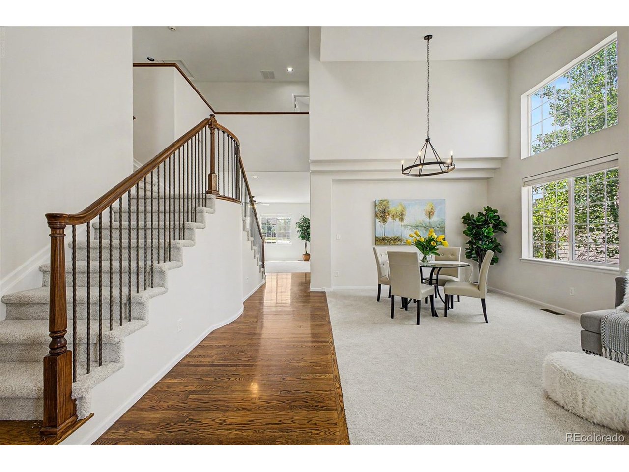 Residential in Castle Rock 4