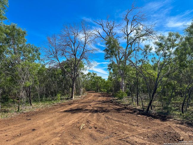 13704 Ladd Rd, Home with 0 bedrooms, 0 bathrooms and null parking in Atascosa TX | Image 15