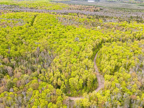 ON Forest Rd 8300, Marenisco, MI, 49947 | Card Image