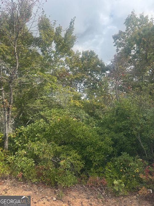 LOT 16 Brown Hawk Dr, Clayton, GA, 30525 | Card Image