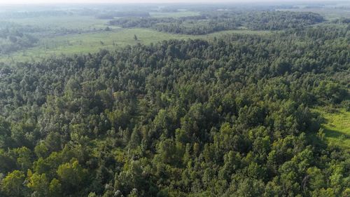 TBD State Highway 107, Brook Park, MN, 55007 | Card Image