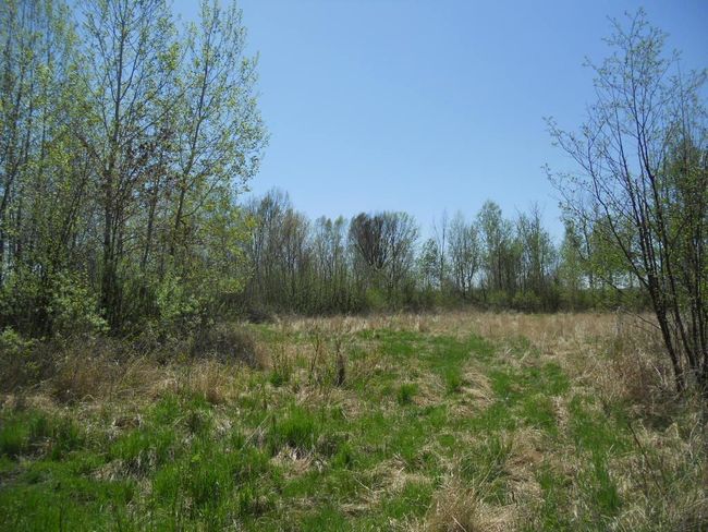 39769 Kestrel Ave, House other with 1 bedrooms, 1 bathrooms and null parking in Tamarack MN | Image 26