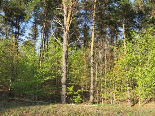 **** Ponytail Trl, Petoskey, MI, 49770 | Card Image