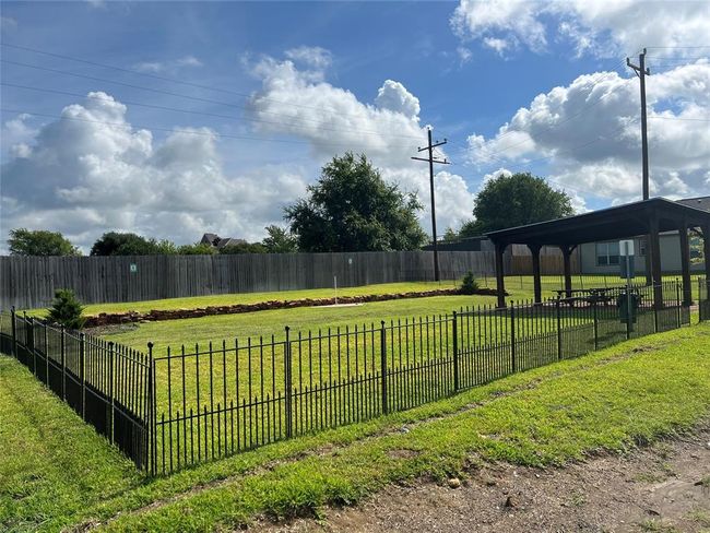 Yes!! A dog park | Image 30