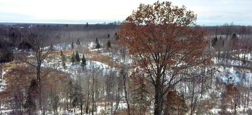 XXX Lake Dr, LUBLIN, WI, 54447 | Card Image