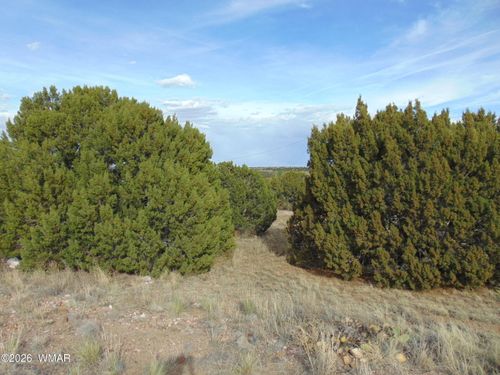 46 Crest Lane, Concho, AZ, 85924 | Card Image