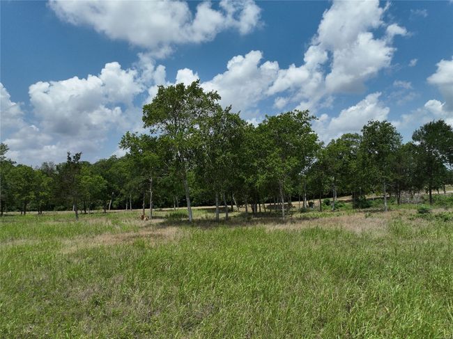0000 Mcelroy Ln, Home with 0 bedrooms, 0 bathrooms and null parking in New Ulm TX | Image 7