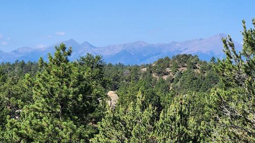 TBD L 43rd Trail, Cotopaxi, CO, 81223 | Card Image