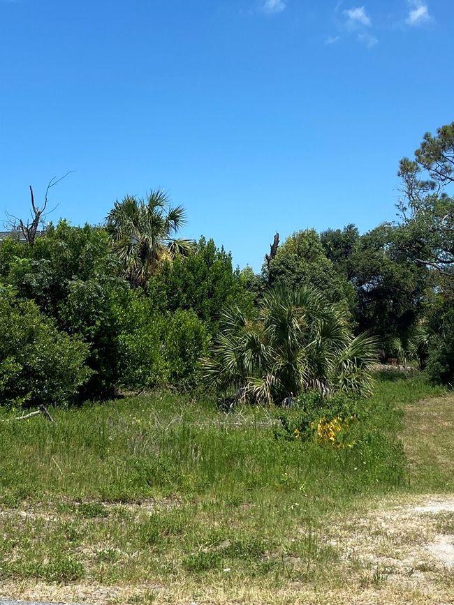 117 Atlantic St, Home with 0 bedrooms, 0 bathrooms and null parking in Port St. Joe FL | Image 16