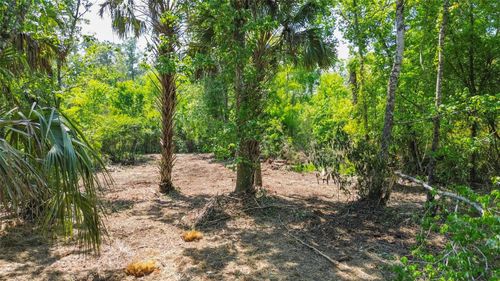 0 Muddy Water Trl, THONOTOSASSA, FL, 33592 | Card Image
