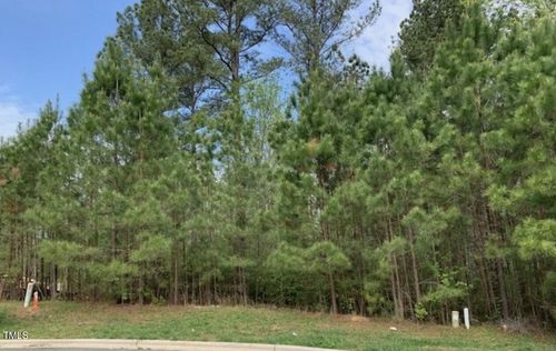 68 Larkspur Ct, Pittsboro, NC, 27312-1409 | Card Image
