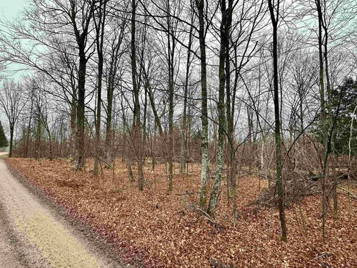 Lot 60 Chip N Dale Drive, LANGLADE, WI, 54465 | Card Image