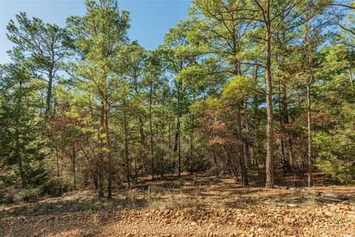 Lot 96 Walnut Bend Dr, Bastrop, TX, 78602 | Card Image