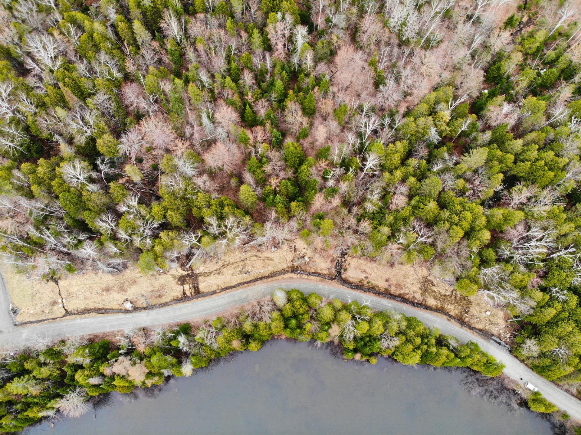 Land in Morin-Heights 5