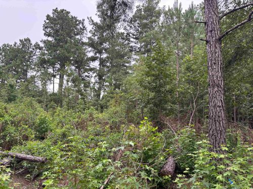 10 Mcgregor Cir, Lake City, SC, 29560 | Card Image