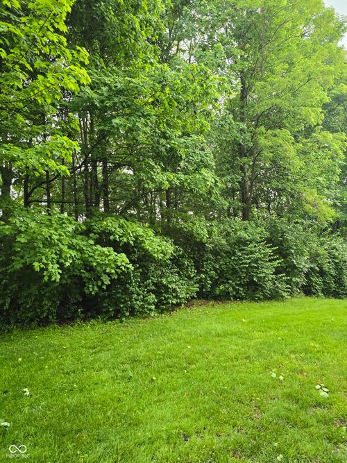 9895 Irishmans Run Ln, Zionsville, IN, 46077-8433 | Card Image
