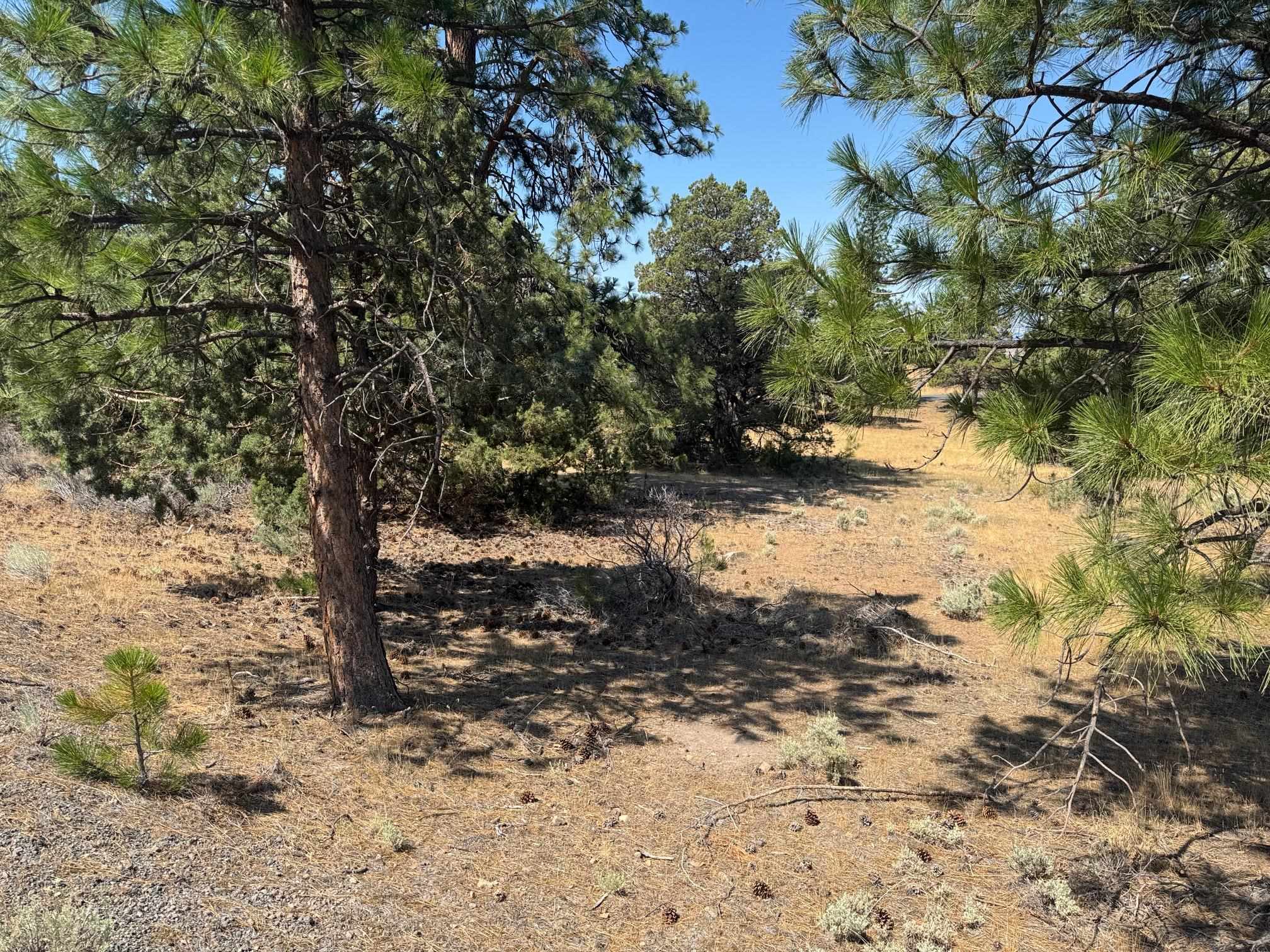 Land in Weed 3