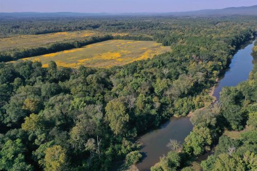 0000 Highway 28, Bluffton, AR, 72827 | Card Image