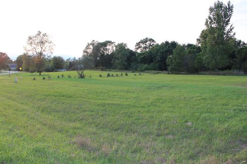 TBD Bonanza Ln, Weidman, MI, 48893 | Card Image