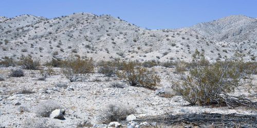 1 Camino Zangri, Desert Hot Springs, CA, 92240 | Card Image