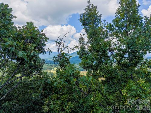 139-0 High Pines Loop, Lake Lure, NC, 28746 | Card Image