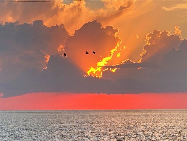Get up early to not miss a one | Image 4