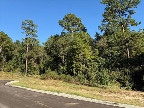 236 Hollow Hill Drive, Huntsville, TX, 77358 | Card Image