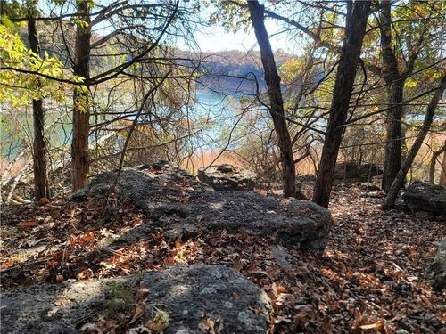 TBD Pilots Cove Ln, Yellville, AR, 72687 | Card Image