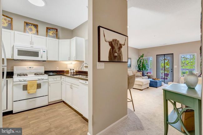 APT-14 - 1712 Lake Shore Crest Dr, Condo with 1 bedrooms, 1 bathrooms and null parking in Reston VA | Image 5