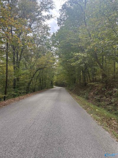 35+/- Acres Alf Harris Road, Home with 0 bedrooms, 0 bathrooms and null parking in Prospect TN | Image 1