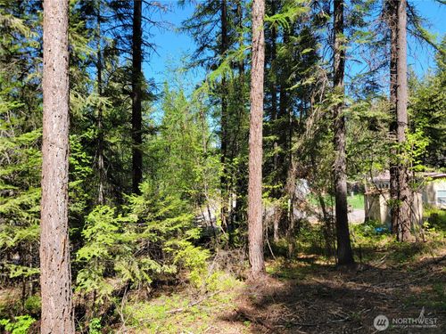 263 Twin Lakes Rd, Inchelium, WA, 99138-9521 | Card Image