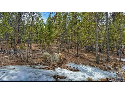 66 Mt Massive Rd, Twin Lakes, CO, 81251 | Card Image