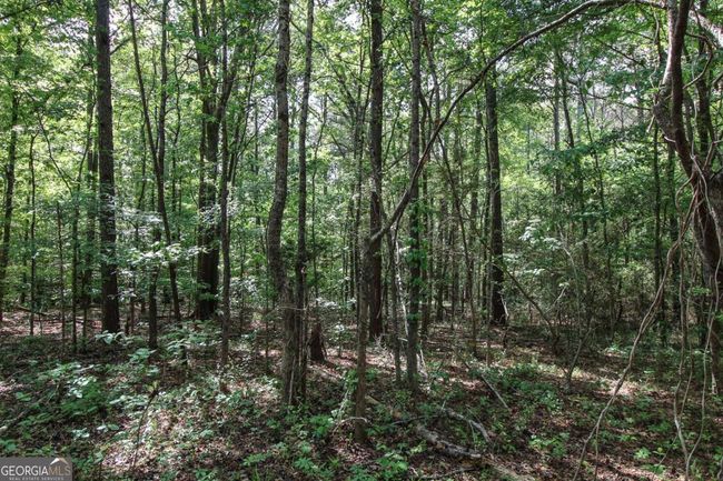 1040 Bridlegate Dr, Home with 0 bedrooms, 0 bathrooms and null parking in Watkinsville GA | Image 8