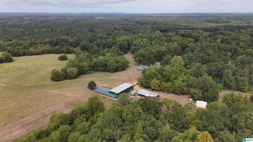 0-6040 Highway 28, Pine Apple, AL, 36768 | Card Image