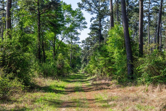 1 County Rd, Home with 0 bedrooms, 0 bathrooms and null parking in Leesburg TX | Image 15