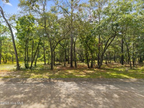 678 Loreauville Dr Sw, Supply, NC, 28462-2892 | Card Image