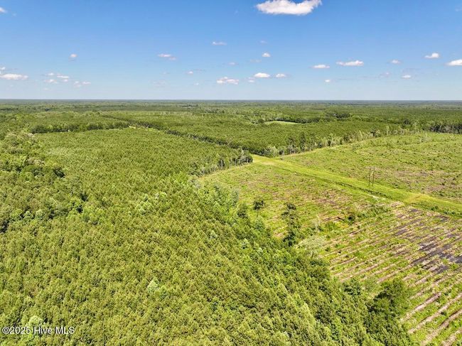 0 Willeyton Rd, Home with 0 bedrooms, 0 bathrooms and null parking in Gates NC | Image 25