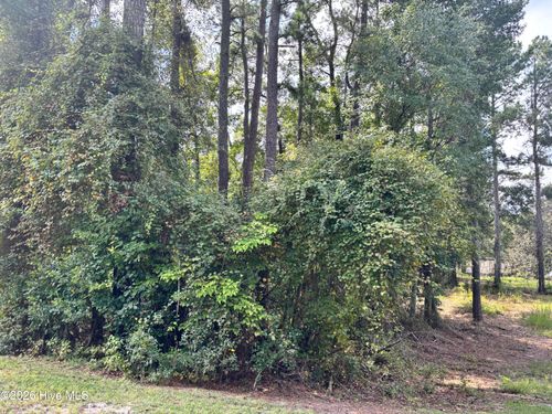 16 A Point Caswell Road, Atkinson, NC, 28421 | Card Image