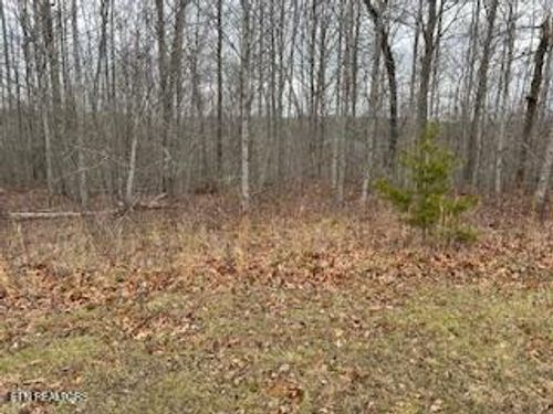 50245 Buckeye Ln, Crawford, TN, 38554 | Card Image