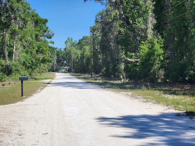 167 Ne 396 Th St, Home with 0 bedrooms, 0 bathrooms and null parking in Cross City FL | Image 6