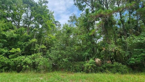 216 Palm Way, GEORGETOWN, FL, 32139 | Card Image