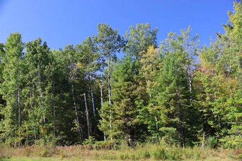 30XXX Brevak Rd, Washburn, WI, 54891 | Card Image
