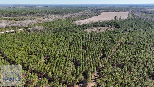 19 AC Owens Road, Odum, GA, 31555 | Card Image