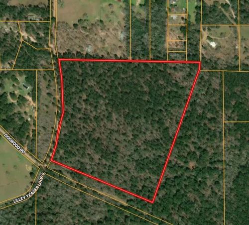 TBD (31) Lilley Yeager Loop N, Cleveland, TX, 77328 | Card Image
