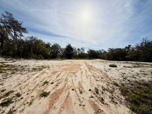 0 Wagers Drive, WEBSTER, FL, 33597 | Card Image