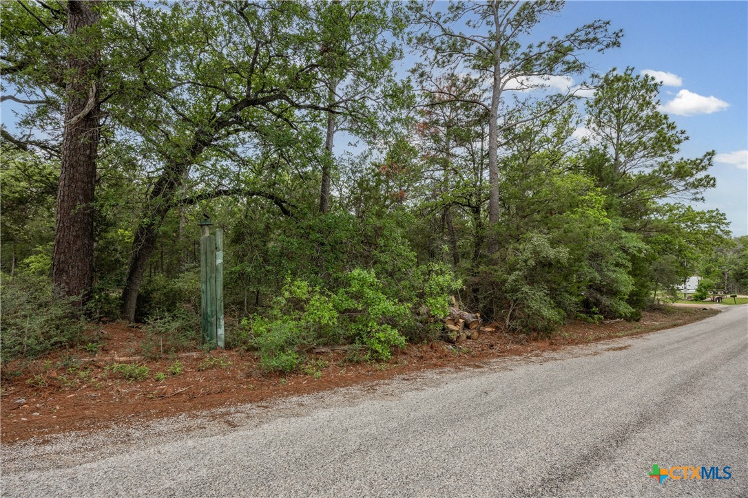 Land in Smithville 4