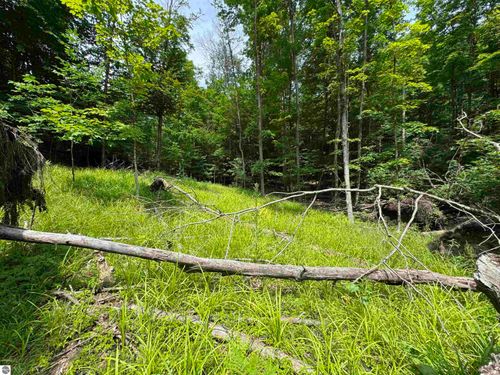 Lot #5 E Bellinger Road, Cedar, MI, 49621 | Card Image