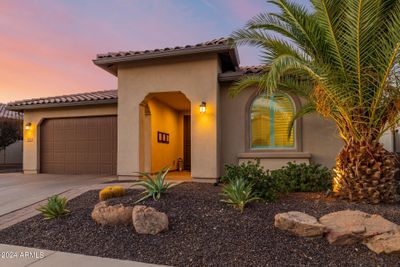 Beautiful front yard landscaping with Pineapple Palm | Image 2