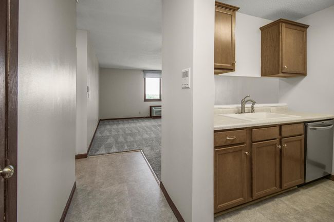 APT-1210 - 1181 Edgcumbe Rd, Condo with 1 bedrooms, 1 bathrooms and null parking in Saint Paul MN | Image 6