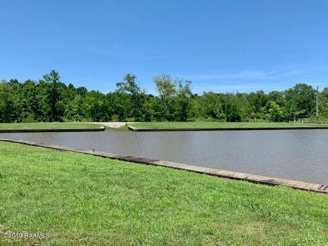 The Cove lot | Image 8